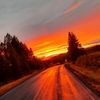 vickie_1717