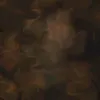 ji_i313