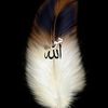 abu.houriya