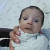 plantillas.._captcut