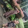 mimin67296