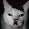 its_renzoooo1969