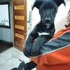 klaudio.tiktok