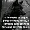 www.tiktok.comdelamonta3