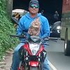 ortizgarcia34