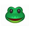 sapo_el_chapin