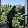 hammuhamad170300