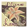 liliennelane