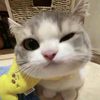 urfav_aamon