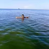 limfatang