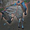 nl_youngboy69