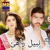 nabeelahmd12
