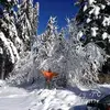 lariatanasov
