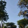aqilanorma_1
