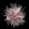 user_f062