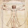 完美比例 Vitruvius