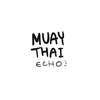Muay thai echo