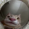 seanyboi_5