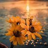 fahema926