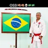 mestrepereirakaratedo