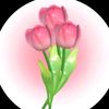 sakiogirl1