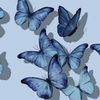 bluebutterfly141