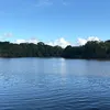 psayco_2