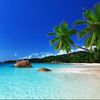 tropicalgangster75