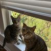 2arnoldandwillow