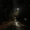 lnlyxw