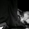 zienb_maged