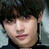 v.army.army