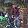 user7625866161773