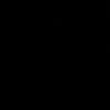 RODI