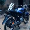 user43193278463636