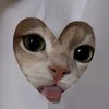lady_darin9