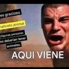 brayanhuayguacon2