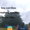 felip_shx0