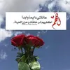 usert0910qu8zx