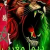 otmanmohamd575