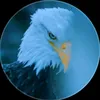 rafiullahmamozai0110