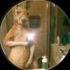 el_patroncito_2004