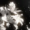ℳ