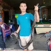 kiepphongtran354