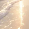 tira_1484