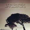 user778436363