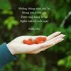 thanh.thanh8524