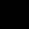 r1v_g