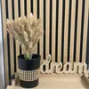 diy_decoration_by_adisa