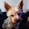 heidihildebrand84